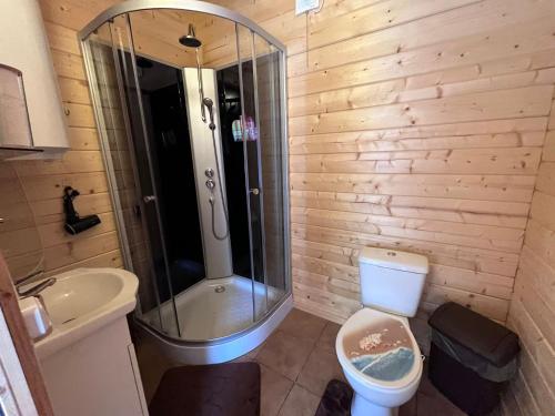 a bathroom with a shower and a toilet and a sink at Atpūtas mājiņas Kolkā- Madaras un Rota in Kolka