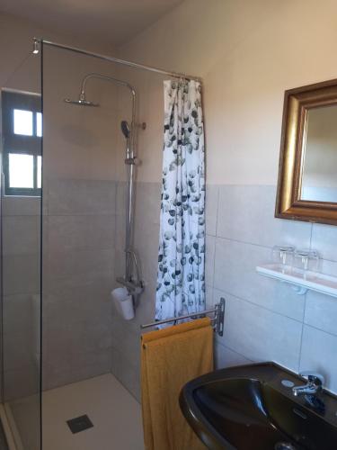 a bathroom with a shower and a sink at O Ninho do Rei in Vila de Rei
