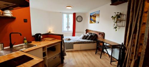 una cocina con fregadero y una cama en una habitación en Appartement du pont St Etienne, en Limoges