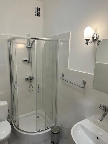 W łazience znajduje się prysznic, toaleta i umywalka. w obiekcie Nowy Apartament z jacuzzi w Bielsku-Białej w Bielsku Białej