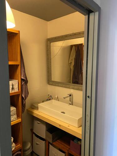 La salle de bains est pourvue d'un lavabo et d'un miroir. dans l'établissement La kaze manguiers, à L'Étang-Salé