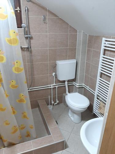 a bathroom with a toilet and a shower curtain at Vila Kula in Crni Vrh