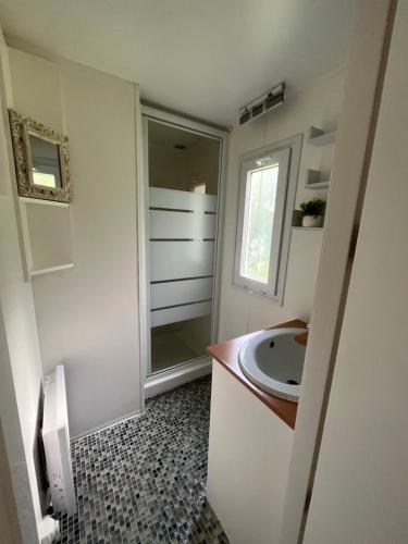 ein Bad mit einem Waschbecken und einem Spiegel in der Unterkunft Le jardin de Jade in Bédarrides