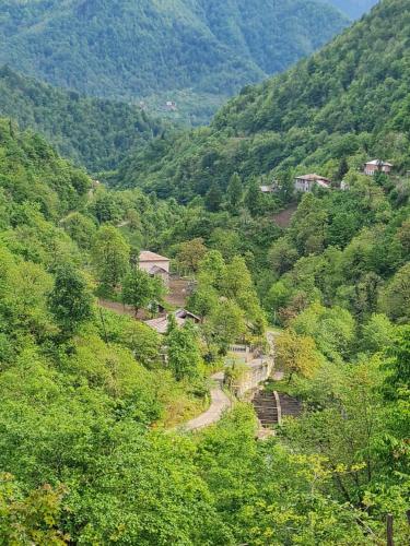 Fotografie z fotogalerie ubytování სახლი მდინარის პირას v destinaci Zeda Agara