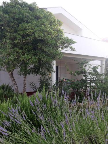 Oasis apartment 300 meters from the beach - by TA Leut Agency