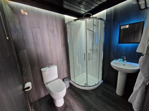 a bathroom with a shower and a toilet and a sink at Glamping Boutique Domes in Articlave