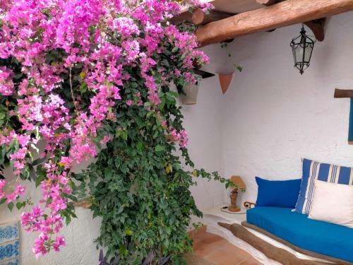 a wall with pink flowers and a blue couch at Albaga in Sant Jordi