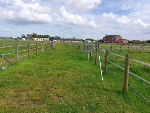 a fence in the middle of a field at Braemar Equestrian, East Riding of Yorkshire in Burton Pidsea