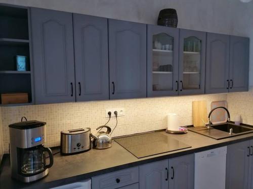 Kuchyň nebo kuchyňský kout v ubytování Obszerne mieszkanie w centrum uzdrowiska z garażem