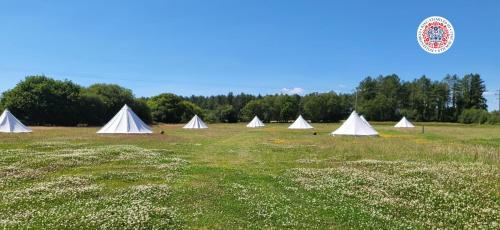 eine Gruppe weißer Zelte auf einem Feld in der Unterkunft Dorset Glamping Fields in Corfe Mullen