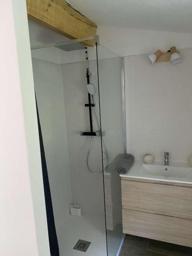 a bathroom with a glass shower and a sink at Bel appartement au coeur du village de Sartene in Sartène