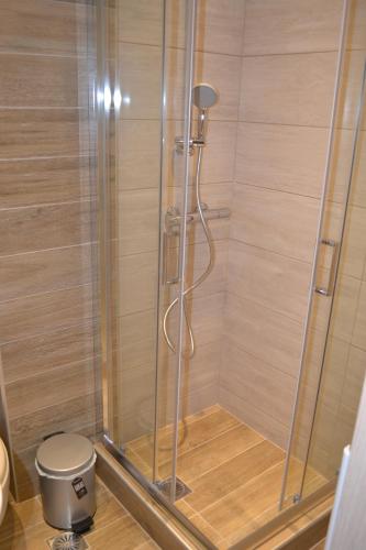 W łazience znajduje się prysznic ze szklanymi drzwiami oraz toaleta. w obiekcie Kalamaria brand new 1 bedroom apartment w Salonikach