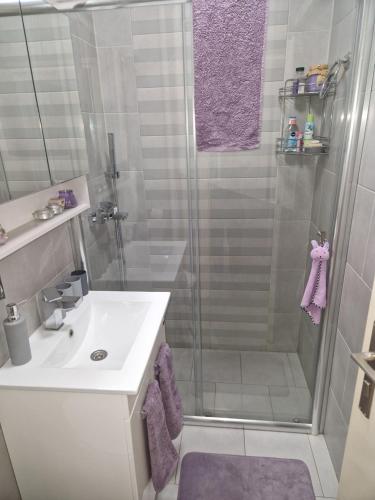 a bathroom with a shower and a sink at Aparmani Djuric in Subotica