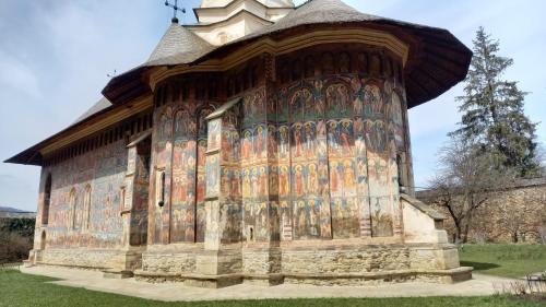 a building with paintings on the side of it at Fexada Home in Vama