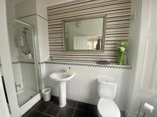 a bathroom with a sink and a toilet and a mirror at Lomond Guest House in Leven-Fife