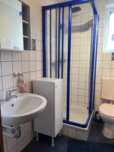 a bathroom with a sink and a shower and a toilet at Kleine Wohnung mit schönem Blick in die Schweiz - Grenznah in Murg