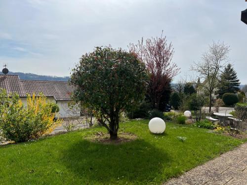 a garden with a tree and a white object in the grass at Kleine Wohnung mit schönem Blick in die Schweiz - Grenznah in Murg