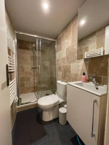 une salle de bain avec toilettes, lavabo et douche dans l'établissement Appartement paris 16 eme, à Paris