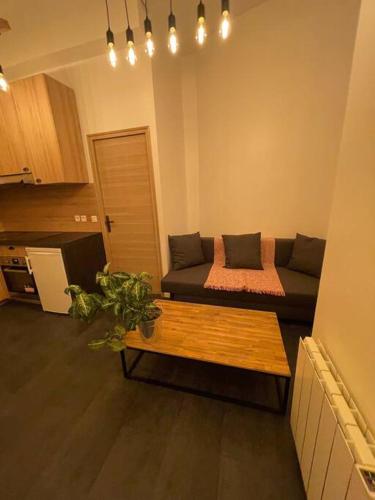 un salon avec un canapé et une table basse dans l'établissement Appartement paris 16 eme, à Paris