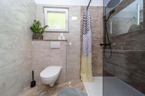 a bathroom with a toilet and a shower at Apartmani Pero Dido in Rab
