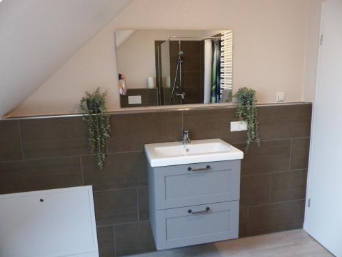 a bathroom with a sink and a mirror at Ferienhaus Sonnenzauber 1 in Walsrode