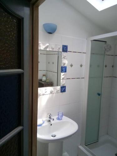 une salle de bain blanche avec un lavabo et une douche dans l'établissement Gîte sous les chênes : pour un séjour ressourçant, à Rochefort-du-Gard