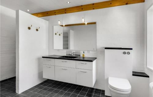 ein weißes Bad mit einem Waschbecken und einem WC in der Unterkunft Lovely Home In Glamsbjerg With Kitchen in Glamsbjerg
