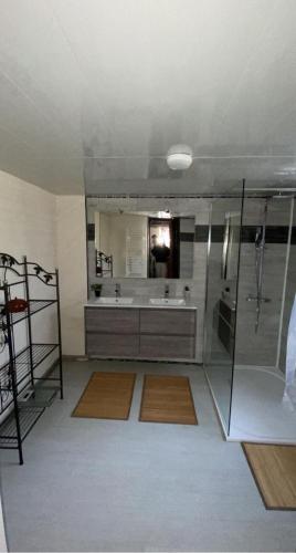 une salle de bain avec douche et miroir dans l'établissement Maison avec piscine au milieu des bois, à Illartein