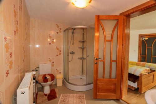 a bathroom with a shower and a toilet and a sink at Pensiunea Agroturistica Stefan Viorica in Moldoviţa