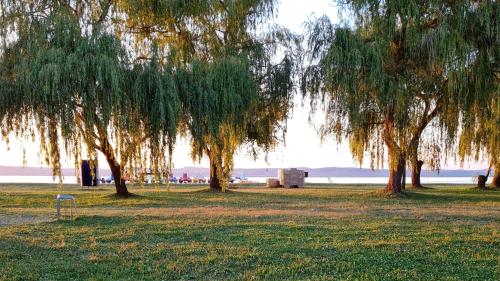 a group of trees in a park next to the water at Apartment Oase in Balatonszemes
