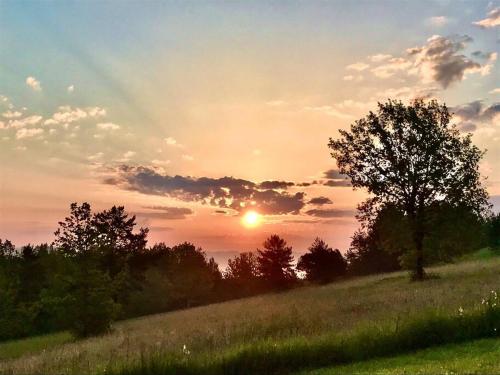 a sunset over a field with a tree on a hill at « Le Vieux Hangar » gîte à la ferme in Le Buisson de Cadouin