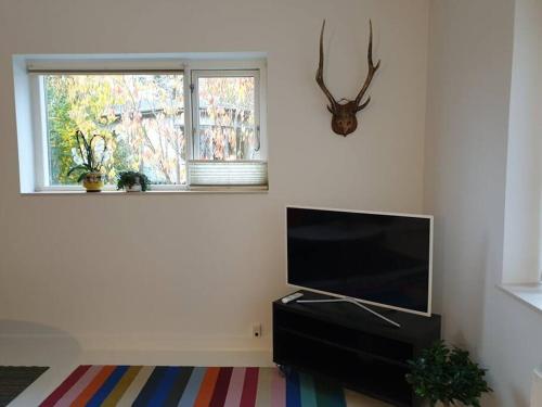 a living room with a flat screen tv and a window at Charmerende lejlighed i Viby in Viby