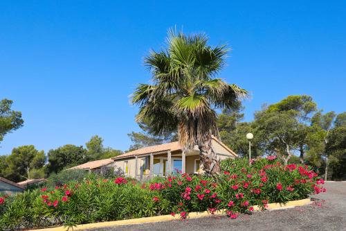 Gallery image of Camping Le Camp Du Domaine in Bormes-les-Mimosas