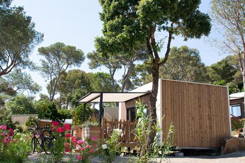 a small wooden cabin with a tree and flowers at Camping Le Camp Du Domaine in Bormes-les-Mimosas