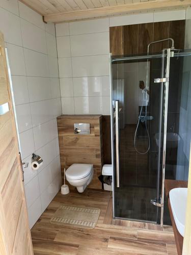 a bathroom with a shower and a toilet and a sink at Noclegi Dąbek in Rymanów