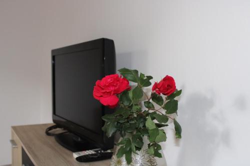 a vase with red roses in front of a television at Guesthouse Klečak in Cavtat