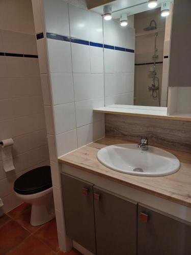 a bathroom with a sink and a toilet and a mirror at Charmante villa dans village naturiste in Leucate