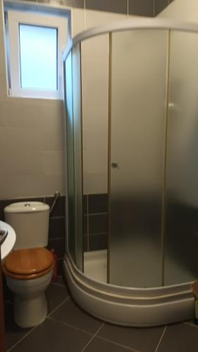 W łazience znajduje się toaleta i przeszklony prysznic. w obiekcie Lustica-Apartment Dora3 w mieście Herceg Novi