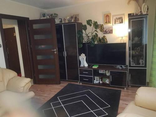 sala de estar con TV y sala de estar con sofá en Topolowa 13, en Mińsk Mazowiecki