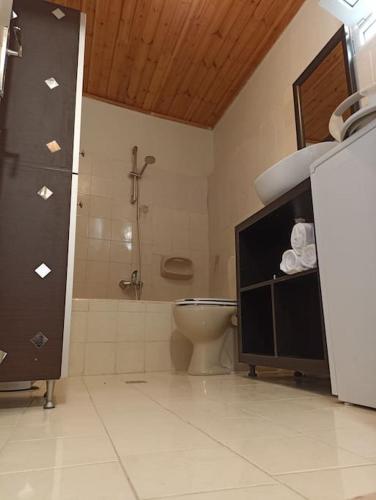 a bathroom with a shower and a toilet in it at Ventus in Afionas