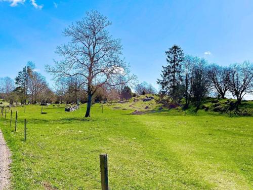 a tree in a field with some animals in the distance at 9 person holiday home in Mörlunda-By Traum in Mörlunda
