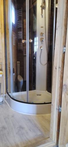 a shower stall in a bathroom with a toilet at chalets les 5 loups in Gerbépal