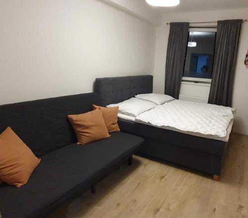 ein Bett und ein Sofa in einem Zimmer mit Fenster in der Unterkunft Apartmán Nerudovka D 104, Finská sauna, garážové stání in Loučná pod Klínovcem