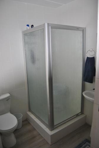 a bathroom with a shower with a toilet and a sink at 201 Hexrivier in Hartenbos