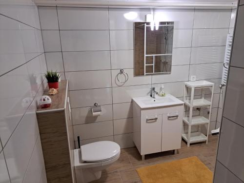 y baño con aseo, lavabo y espejo. en SUN RIVER KOLPA Ap2, en Vinica