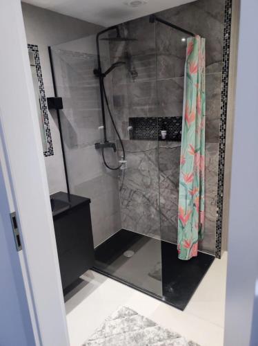 La salle de bains est pourvue d'une douche avec une porte en verre. dans l'établissement Apartament Frombork, à Frombork