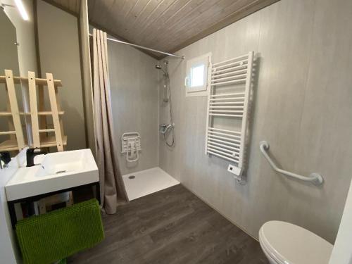 a bathroom with a shower and a toilet and a sink at Domaine des Bridoux Village de Gîtes in Mirabel-aux-Baronnies