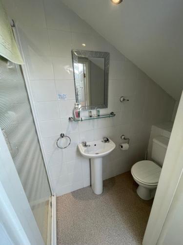 a bathroom with a sink and a toilet and a mirror at Bon-Ami in Lowestoft