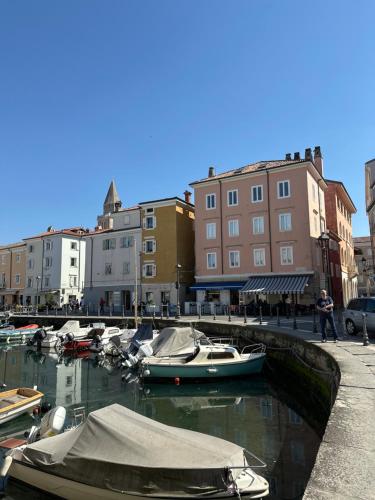 Eine Gruppe von Booten liegt in einem Hafen vor Anker. in der Unterkunft Muggia Studio 2 in Muggia