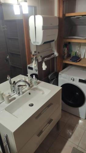 une salle de bain avec un lavabo et une machine à laver dans l'établissement appartement de détente dans le Vercors 4-6 max, à Villard-de-Lans